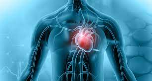 Jun 03, 2021 · 275 fälle bei fünf millionen impfungen : Pei Hat Kein Klares Bild Bei Myokarditis Und Coronaimpfung