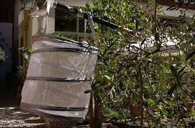 Et pour les attirer sur votre terrain, vous pouvez installer ces mangeoires à papillons fabriquées à la maison. Un Piege Presque Tout Fait Les Lepidopteristes De France