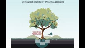 Sustainable Management Of Natural Resources Youtube Sustainable Management Natural Resources Sustainability
