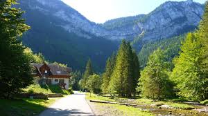 RÃ©sultat de recherche d'images pour "cirque de saint meme"