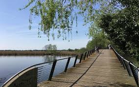Stadt werder (havel), ot bliesendorf, ot plessow, ot plötzin, ot glindow, ot phöben, ot derwitz, ot töplitz. Variante 2 Fontane Rad Von Werder Havel Nach Brandenburg An Der Havel Havelland Werder Havel 14542