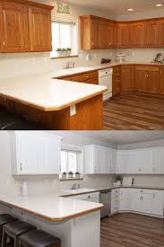 Cabinet Painting Makeover N Hance Of Chicago In 2020 Kitchen Cabinet Colors Refinishing Cabinets Kitchen Cabinets