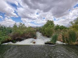 This presentation will explore the key facets concerning the city of phoenix tres rios wetlands. Birding At Tres Rios Wetlands In Estrella Village Arizona