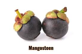 Some people say that the flavor is between that of apricot and pineapple. Best Fruits Thailand Top 15 Properties Away Real Estate Long Term Rental And More