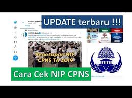 Lengkapi dokumen pemberkasan untuk pengusulan nomor induk pegawai (nip). Cara Terbaru Cek Nip Dan Update Terbaru Penetapan Nip Cpns 2019 Youtube