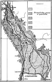 Image result for Panicum flacciflorum