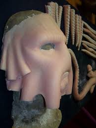 Davy Jones Cosplay from Pirates of the Carribean — Stan Winston School of  Character Arts Forums