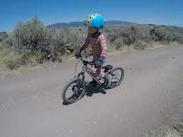 Best bike brands for kids. Best Kids Bikes 7 Brands Your Child Will Love 2021 Rascal Rides