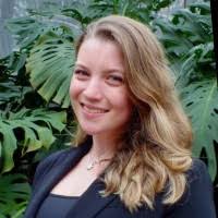 800+ "Dvorkin" profiles