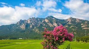 Príroda Južnej Kórey: Národné parky a turistické trasy