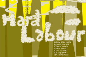 Bildergebnis für Shahin Afrassiabi