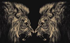 The great collection of detroit lions free wallpaper for desktop, laptop and mobiles. Lion Wallpapers Wallpaper Cave