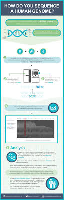 Genome Sequencing Genomics England Genome Sequencing Genome Human Genome