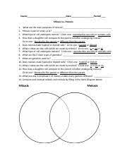 What are the main purposes of mitosis. Mitosis Vs Meiosis Worksheet Doc Name Date Period Mitosis Vs Meiosis 1 2 3 4 What Are The Main Purposes Of Mitosis Mitosis Is Part Of What Cycle What Course Hero