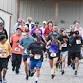 Glasstown to Terra Nonno Run Fest event image