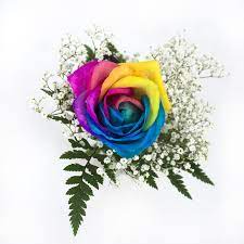 Tie dye flowers near me. Tie Dyed Rainbow Rose Bouquet 1 Stem Rainbow Roses Bouquet