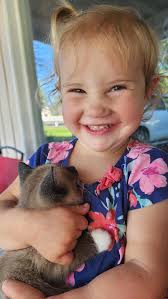 Lost cat named Shadow in Lakeport