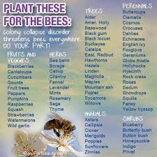 Birds Do It Bees Do It Plants For Bees And Birds Insects Bee Keeping Bee Save The Bees