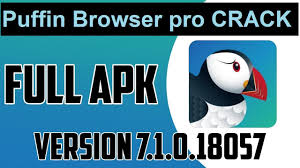 This alternative app store will work just as well as google play or aurora store. Puffin Browser Crack For Windows Boosterstaffing