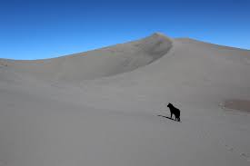 Maybe you would like to learn more about one of these? Idaho Wildfire Closes Bruneau Dunes State Park Idaho Business Review