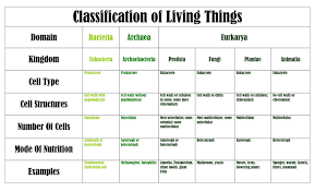 taxonomy ninth grade biology