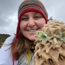 Dave Tank (@dave_tank)