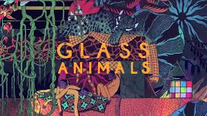 Maybe you would like to learn more about one of these? Glass Animals Wallpapers Top Free Glass Animals Backgrounds Wallpaperaccess