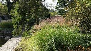 Wie genau erfahren sie in hallo hessen. Offene Gartenpforte Hessen Findet Digital Statt Gabot De