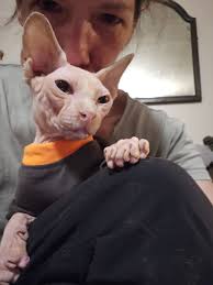 What are your favorite probiotics for kids?