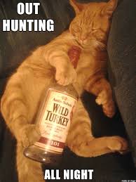 Wild Turkey Kitty Meme On Imgur