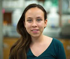 Undergraduate Students