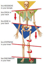 What Is Kinetic Chain Release Therapy A Personal Experience Physical Therapy Scoliosis Exercises Massage Therapy