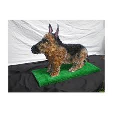 Check spelling or type a new query. Dog Funeral Flowers Reading