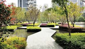 Cicada Landscape Architecture Peyzaj Peyzaj Mimarisi Peyzaj Tasarimi