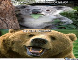 36 really funny memes to cheer you up | sayingimages.com. Animal Job Interview By Penguino20 Meme Center