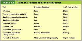 Traits Of K Selected And R Selected Species Population Growth Rate Life Species