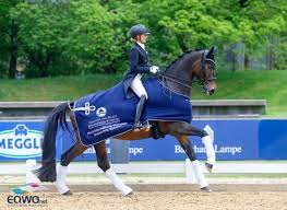 Вы внесли @j_bredow_werndl в черный список. Personal Best Fur Jessica Von Bredow Werndl Und Dalera Bb Equestrian Worldwide Pferdesport Weltweit Eqwo Net