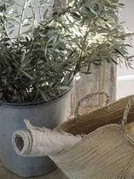 Souvenirs De Vacances Esprit Champetre Champetre Souvenirs De Vacances Olivier