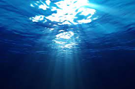 3840x2563 Windows 4k High Resolution Widescreen Wallpaper Underwater Wallpaper Ocean Underwater Ocean Wallpaper