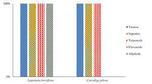 Image result for Lagenaria breviflora