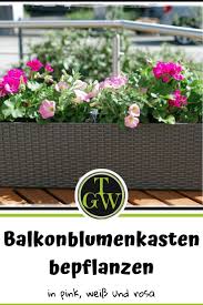 Wenn die tage allmählich wieder wärmer werden und die gartensaison vor der tür steht, wird es zeit, auch an die blütenpracht in den balkonkästen zu denken. Balkonkasten Bepflanzen Beispiele Balkonblumen Pflanzvorschlage Kooperation Topfgartenwelt