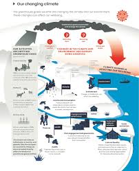 Image result for Observed Affect