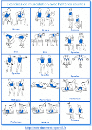 Epingle Sur Entrainement Biceps