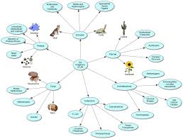 Drralph S12h Living Organisms