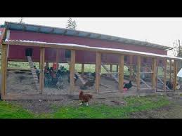 Maybe you would like to learn more about one of these? How To Build A Chicken Breeding Coop The Poultry Gardener Youtube