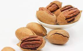 We did not find results for: Pacanier Carya Illinoinensis L Arbre De La Noix De Pecan
