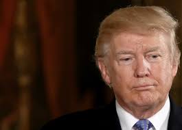 Image result for donald trump