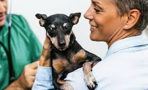 Welcome to Hale Veterinary Clinic