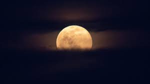 Year full moon distance diameter relative relative perigee δperigee. Don T Miss The Next Full Moon A Pink Supermoon