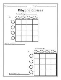 You may also be interested in:. Free Blank Dihybrid Cross Charts Dyslexia Friendly Genetics Teacherspayteachers Dihybrid Cross Science Teaching Resources Teaching Freebies